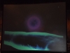 SAM_0987
