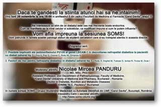 soms-nov-2010